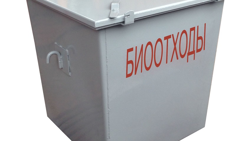 biootxodi